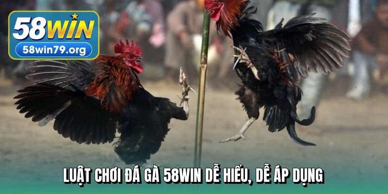 luat-choi-da-ga-58win-de-hieu-de-ap-dung