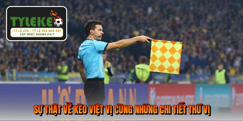 su-that-ve-keo-viet-vi-cung-nhung-chi-tiet-thu-vi