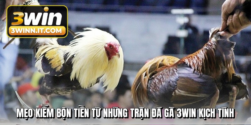 meo-kiem-bon-tien-tu-nhung-tran-da-ga-3win-kich-tinh