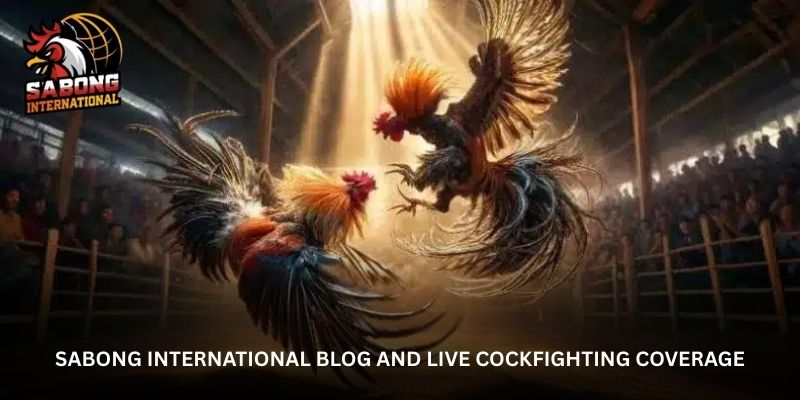 sabong-international-blog-and-live-cockfighting-coverage