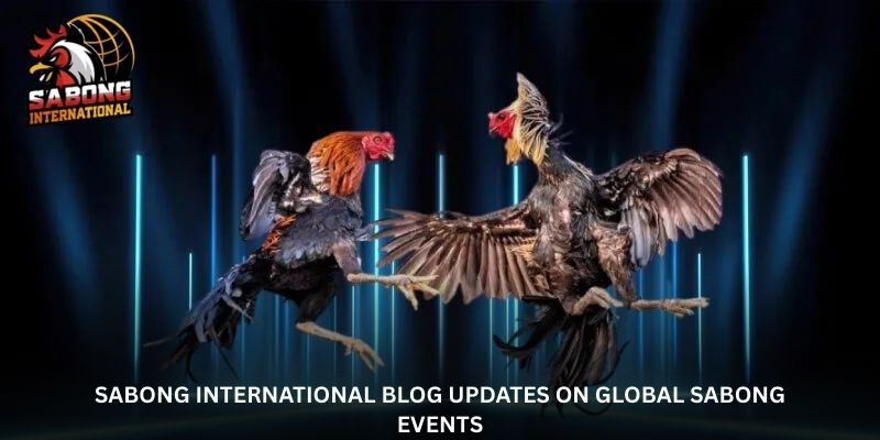 sabong-international-blog-updates-on-global-sabong-events