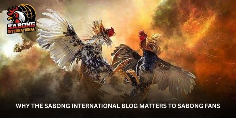 why-the-sabong-international-blog-matters-to-sabong-fans